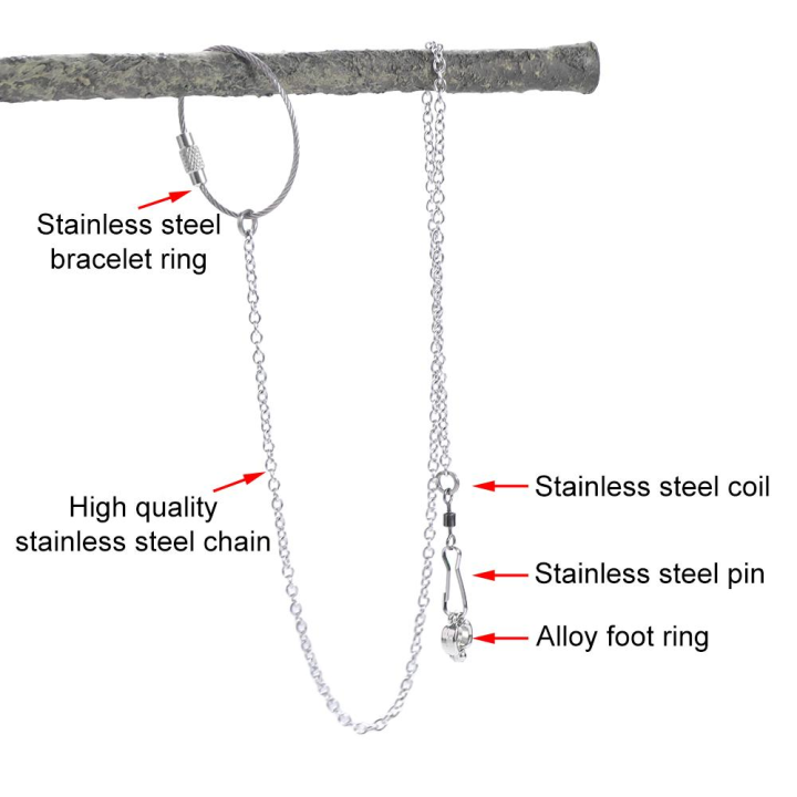 Bird Chain Flying Training Stainless Steel Outdoor Pigeon Starling Cockatiel ...