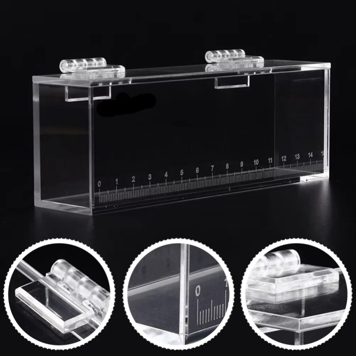 Fighting Fish Transparent Fish Viewing Box Micro Landscape Mini Acrylic ...