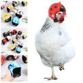 Light Funny Pet Supplies Sun Rain Protection Hats Bird Protect Cap Pet Protective Headgear Chicken Helmet. 