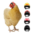 Light Funny Pet Supplies Sun Rain Protection Hats Bird Protect Cap Pet Protective Headgear Chicken Helmet. 