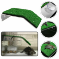 Slope Resting Basking Turtle Basking Platform Habitat Decor Floating Island Moss Aquarium Accessories. 