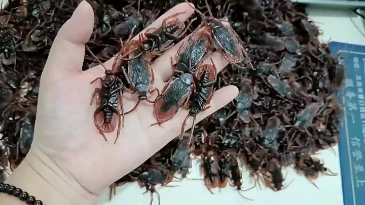 Special Lifelike Model Simulation Fake Cock Cockroach Roach Bug Roaches Toy Prank Funny Trick Joke Toys April Fools Prank