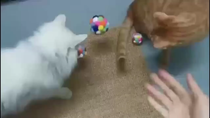 1/3PCS Cat Toys Cat Plush Ball Toy Pet Elastic Bell Ball Self Hi Ball Playing Cat Colorful Woolen Ball