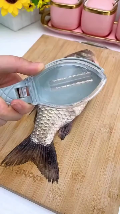 Fish Cleaning Pillar Scaler Scraper Kitchen Cooking Tool - NR Mart-2024