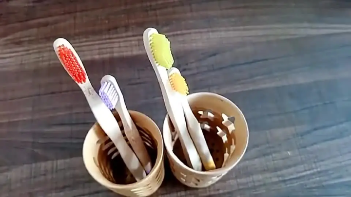 Bamboo toothbrush holder bamboo toothbrush accessories toothbrush pen makeup brush organizer biodegradable (Circular )
