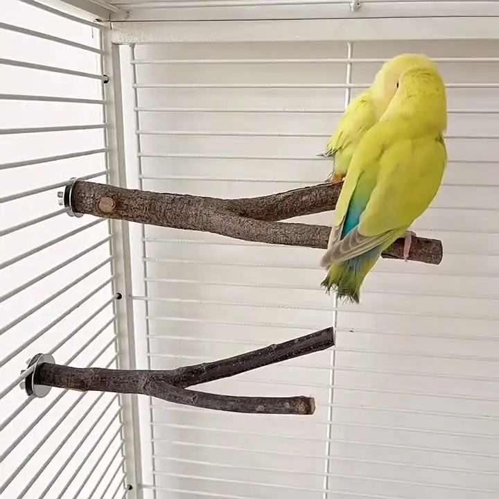 1pcs 15/20/30cm Birds Accessories Bird Cage Sticks Wooden Stuff Stand Tree Branch Perches Asesorips Para Aves Vogel Stokjes