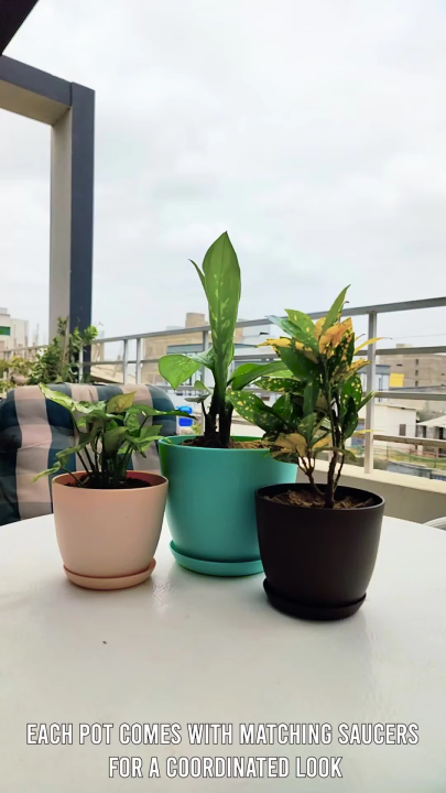 Enhance Your Space with Fast Forward Extra Large Plant Pots – Perfect Home Decor for Indoor and Outdoor Planters with Drainage - Explore Multi-Packs of Plastic Planters for Cactus and Succulents in Six Vibrant Colors