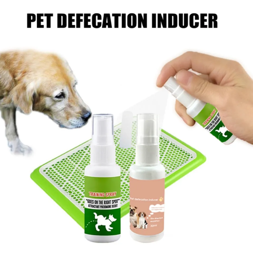 30ml Pet Dog Spray Inducer Dog Toilet Training Puppy Positioning Defecation Pet Potty Training Spray Daraz.pk