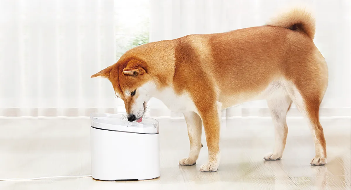 Xiaomi Smart Pet Fountain Dog Cat Pet Mute Drink Feeder Bowl