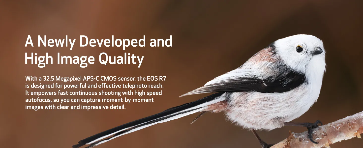Eos-r7-canon canon-r7-mirrorless-camera canon-film canon-r7 canon-lens f/3.5-6.3 image-stabilization