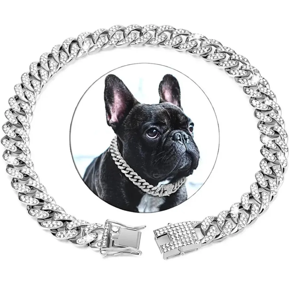 Diamond dog chain best sale