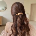 Simple Solid Color Acrylic Banana Shape High Hair Claw Frosted Texture Back Head Horsetail Versatile Fixed Hair Clip.
