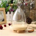 Glass Display Highquality Cloche Bell Jar Dome Flower Immortal Preservation Vase Wooden Base - LOVE. 