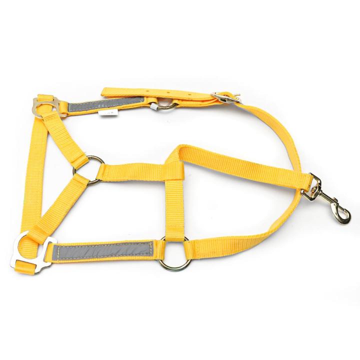Night%20Reflective%20Adjustable%20PP%20Horse%20Head%20Halter%20Collar%20Bridle%20Cage%20Equestrian%20%5BM%5D%20-%20Image%203