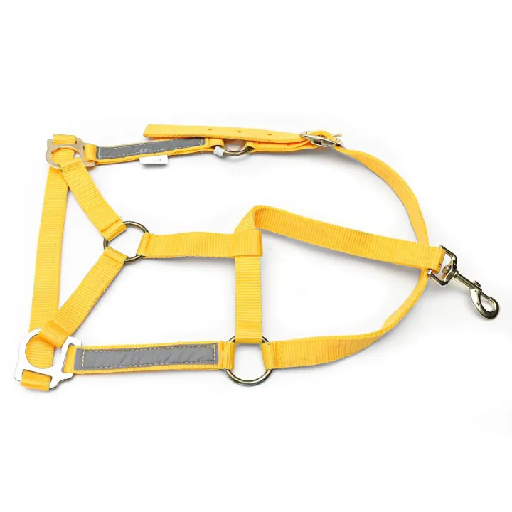 Night%20Reflective%20Adjustable%20PP%20Horse%20Head%20Halter%20Collar%20Bridle%20Cage%20Equestrian%20%5BM%5D%20-%20Image%203