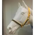 Night Reflective Adjustable PP Horse Head Halter Collar Bridle Cage Equestrian [M]. 
