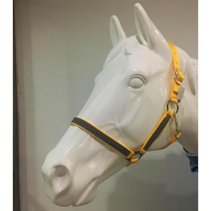 Night%20Reflective%20Adjustable%20PP%20Horse%20Head%20Halter%20Collar%20Bridle%20Cage%20Equestrian%20%5BM%5D%20-%20Image%206