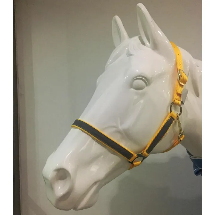 Night%20Reflective%20Adjustable%20PP%20Horse%20Head%20Halter%20Collar%20Bridle%20Cage%20Equestrian%20%5BM%5D%20-%20Image%206