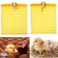 Automatic 56 Chicken Egg Turner Tray Quail Duck Incubator With 110V/220V Motor.