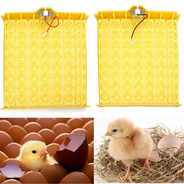 Automatic 56 Chicken Egg Turner Tray Quail Duck Incubator With 110V/220V Motor