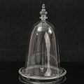 Rose Flower Glass Display Dome Cloche w/ Wooden Base Night Light Home Decor - Glass base. 