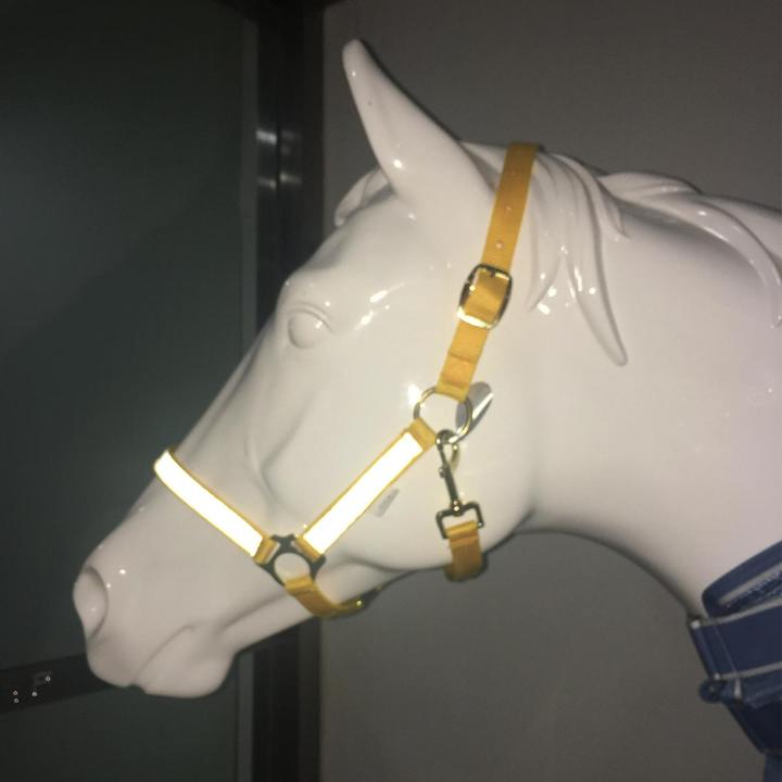 Night%20Reflective%20Adjustable%20PP%20Horse%20Head%20Halter%20Collar%20Bridle%20Cage%20Equestrian%20%5BM%5D%20-%20Image%205