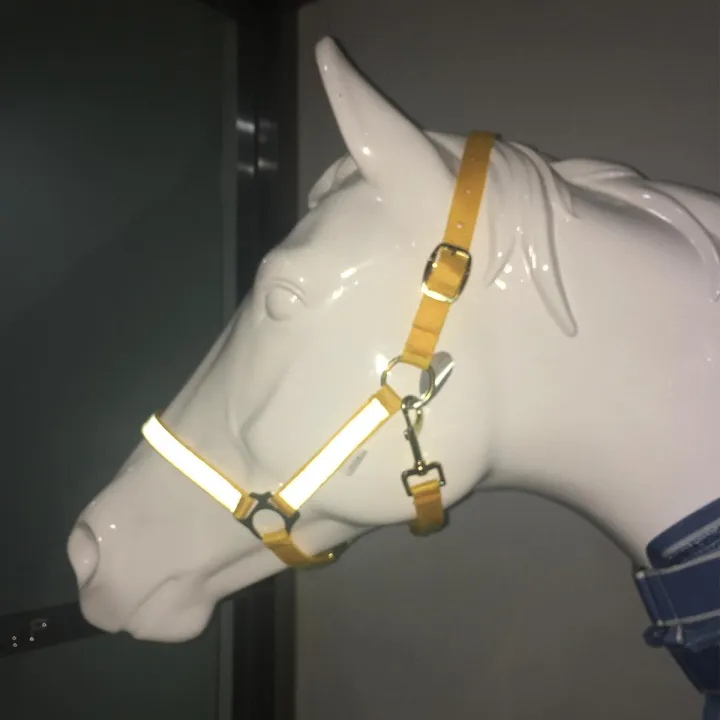 Night%20Reflective%20Adjustable%20PP%20Horse%20Head%20Halter%20Collar%20Bridle%20Cage%20Equestrian%20%5BM%5D%20-%20Image%205