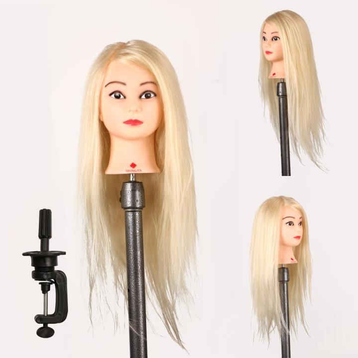 Hair Hairdressing Training Premium Head Model Health Mannequin for ...