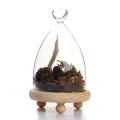 Glass Display Highquality Cloche Bell Jar Dome Flower Immortal Preservation Vase Wooden Base - LOVE. 