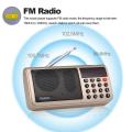 Rolton W405 FM Digital Radio Portable USB Wired Computer Speaker HiFi Stereo Rece-iver W/ Flashlight Display Support TF Music Play.