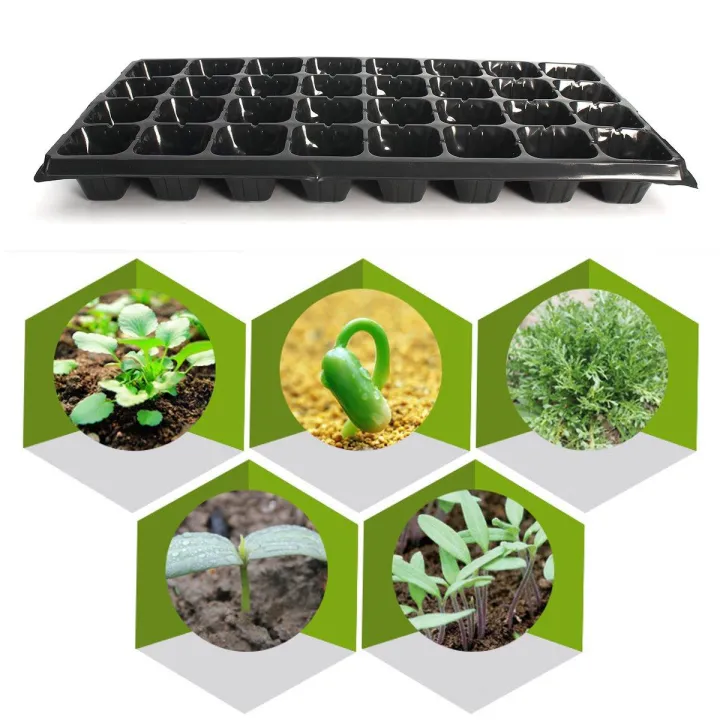 10%20Pack%2032%20Cell%20Seedling%20Starter%20Trays%20%20Germination%20Garden%20Plant%20Propagation%20-%20-%20Image%206