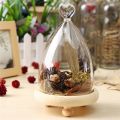 Glass Display Highquality Cloche Bell Jar Dome Flower Immortal Preservation Vase Wooden Base - LOVE. 