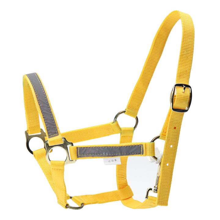 Night%20Reflective%20Adjustable%20PP%20Horse%20Head%20Halter%20Collar%20Bridle%20Cage%20Equestrian%20%5BM%5D%20-%20Image%202