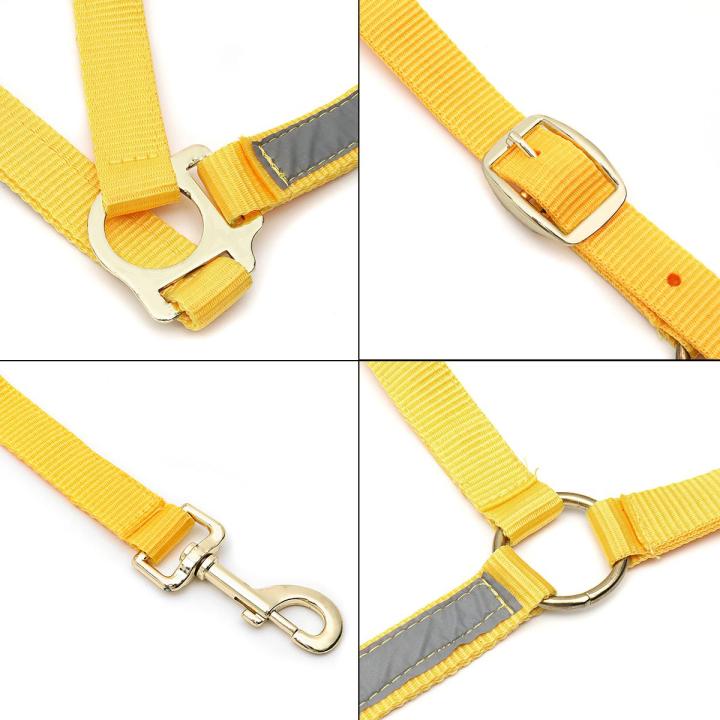 Night%20Reflective%20Adjustable%20PP%20Horse%20Head%20Halter%20Collar%20Bridle%20Cage%20Equestrian%20%5BM%5D%20-%20Image%204