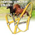 Night Reflective Adjustable PP Horse Head Halter Collar Bridle Cage Equestrian [M]. 