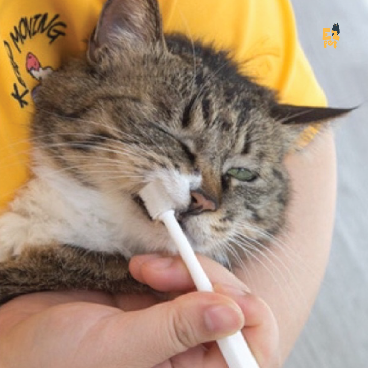 EZPET%20360%20Formula%20Dog%20Cat%20Oral%20Hygiene%20Microfiber%20Brush%20Japan%20Kojima%20Pet%20Toothbrush%20Toothpaste%20Set%20-%20Image%206