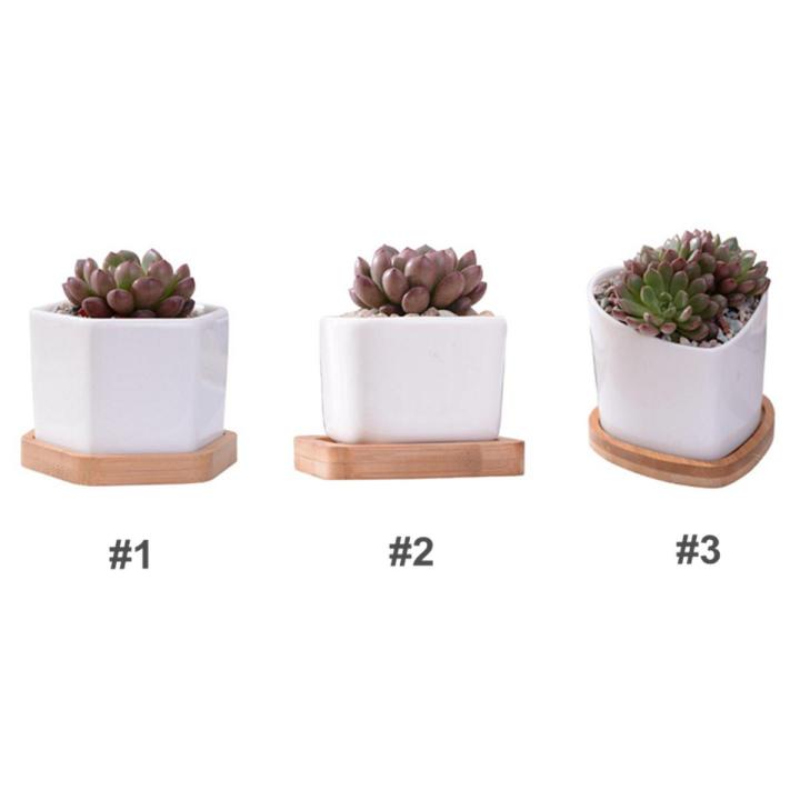 Ceramic Succulent Plant Pots Mini Flower Pots White Colettion + Bamboo ...