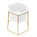 Hexagon Ceramic Plant Pot Metal Rack Holder Set Succulent Flower Planter Garden - Golden.