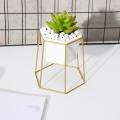 Hexagon Ceramic Plant Pot Metal Rack Holder Set Succulent Flower Planter Garden - Golden.