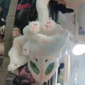 born Bat Rabbit Plush Toy Hing Sleeping Comfort Doll Ragdoll Girls Gift. 