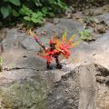Legoe Dragon Building Compatible Legoingly Ninja Bricks Action Figures Enlighten Blocks Toys For Children. 