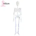 Portable Skull Prop Attractive Plastic Funny Halloween Luminous Skeleton Body Toy Sculpture for Festival. 