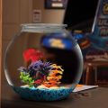 Seven Master 21CM 18CM 13CM High Quality Round Transparent Plastic Fish Tank Aquarium Bowl. 