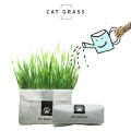 Teekland Natural Cat Grass Planting Kit DIY Anti-hair Ball To Aid Digestion Cat Grass Suit Soilless Lazy Hydroponic Organic Cat Grass. 