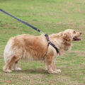Malaysia Pet Harness Jeans Collar Dog Collars Puppy Comfortable Adjustable Kolar Animal Nylon Strap. 