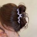 Fresh Korean style Gripping for women 2024 new style simple headband hair clip shark clip at back of the head.