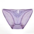 GIRL Large Size Sweet Mesh Transparent Intimates Hollow Out Butterfly Embroidery Briefs Korean Underwear Women Panties. 