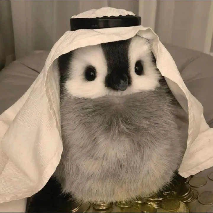 Emperor%20Penguin%20baby%20plush%20toy%20doll%20cartoon%20cute%20gift%20-%20Image%204