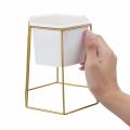 Hexagon Ceramic Plant Pot Metal Rack Holder Set Succulent Flower Planter Garden - Golden.