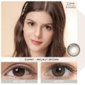 [Dubai&New Arrivals] Magister Lens Doll Eyes 14.2mm Russo Colored Contact Lenses Brown Gray Makeup. 